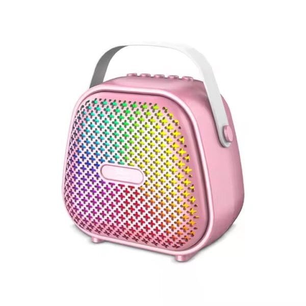 Karaoke Speaker (10)
