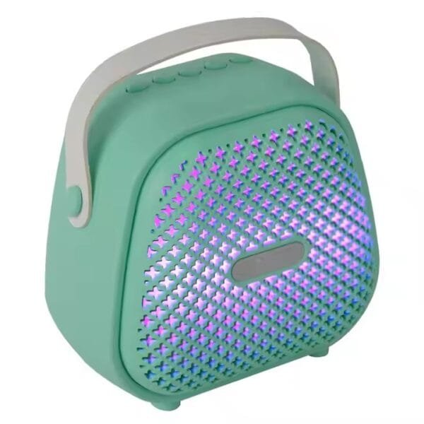 Karaoke Speaker (4)