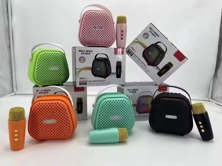 Karaoke Speaker (5)
