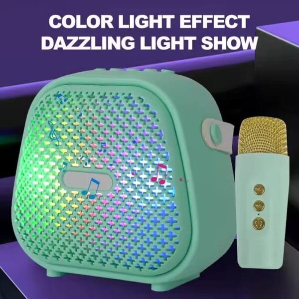 Karaoke Speaker (6)