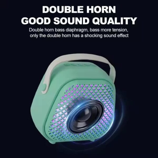 Karaoke Speaker (8)