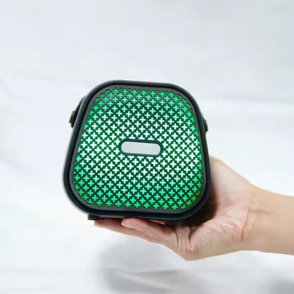 Karaoke Speaker (9)