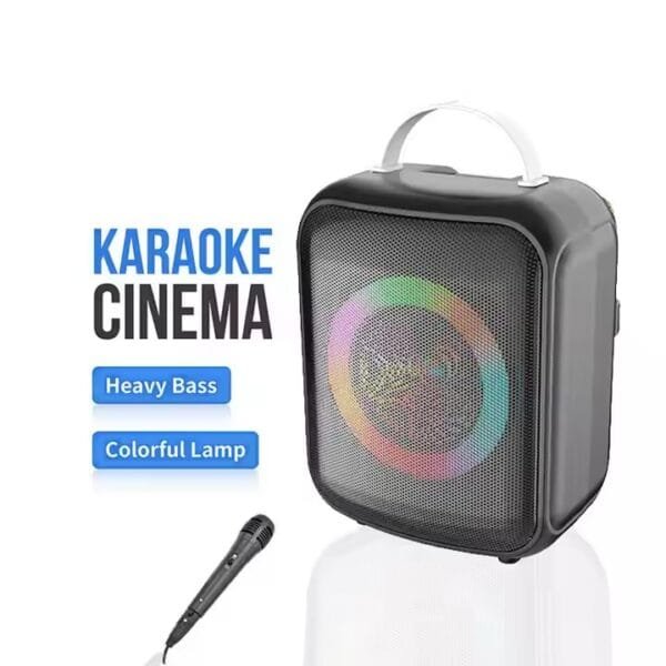 Karaoke System Speaker for Kids (5)