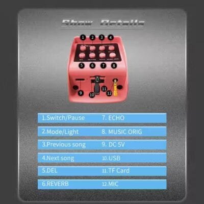 Karaoke System Speaker for Kids (7)