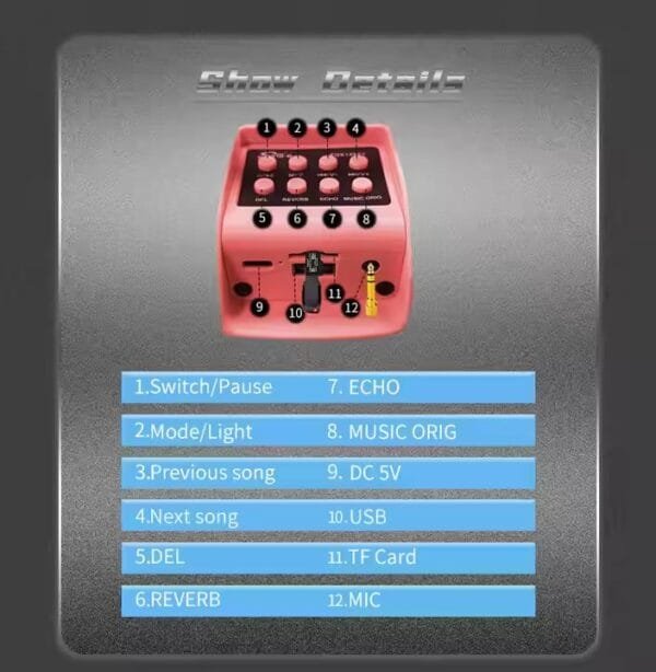 Karaoke System Speaker for Kids (7)