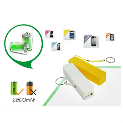 Mini Lithium Battery Pack Micro (1)