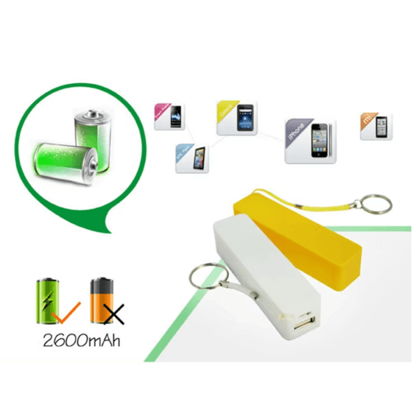 Mini Lithium Battery Pack Micro (1)