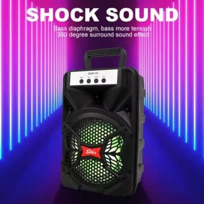 New 6 Inch Speaker (2)