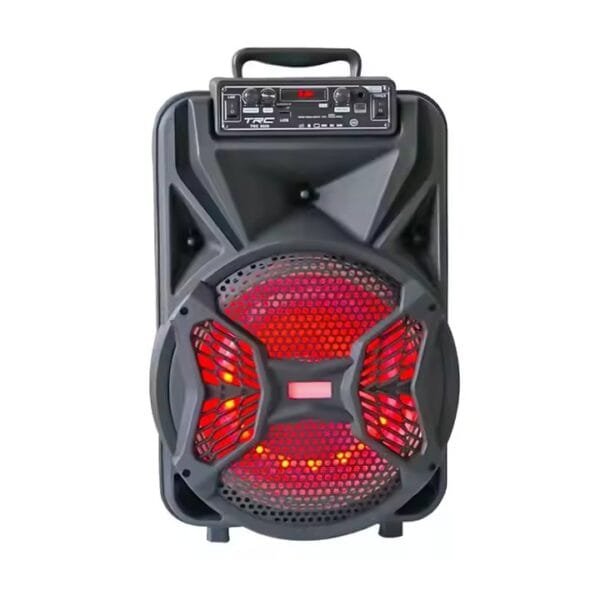 New 6 Inch Speaker (3)