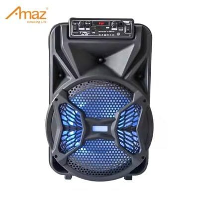 New 6 Inch Speaker (7)