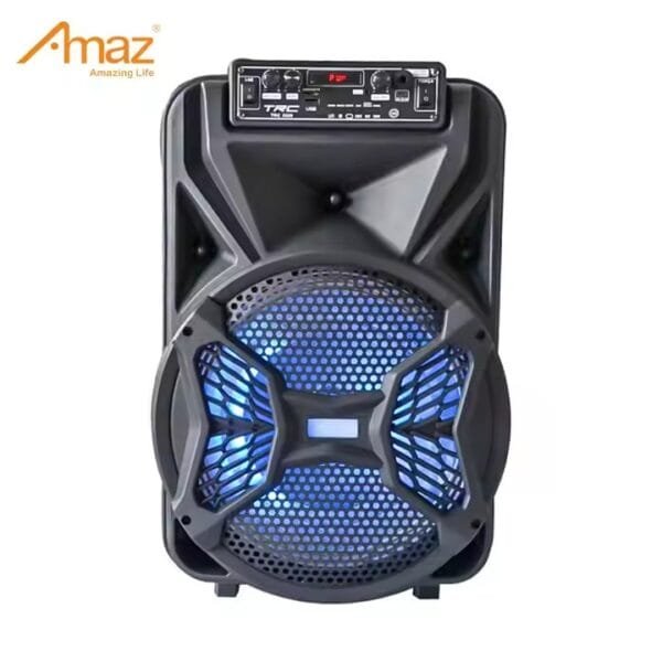 New 6 Inch Speaker (7)