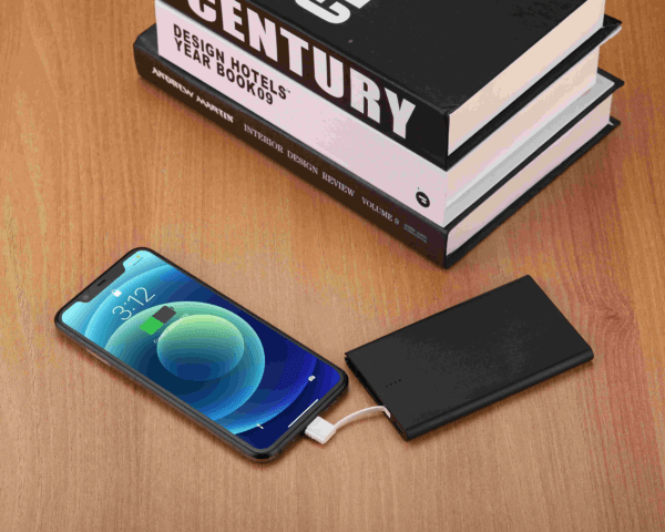 Pocket Battery Charger (2)