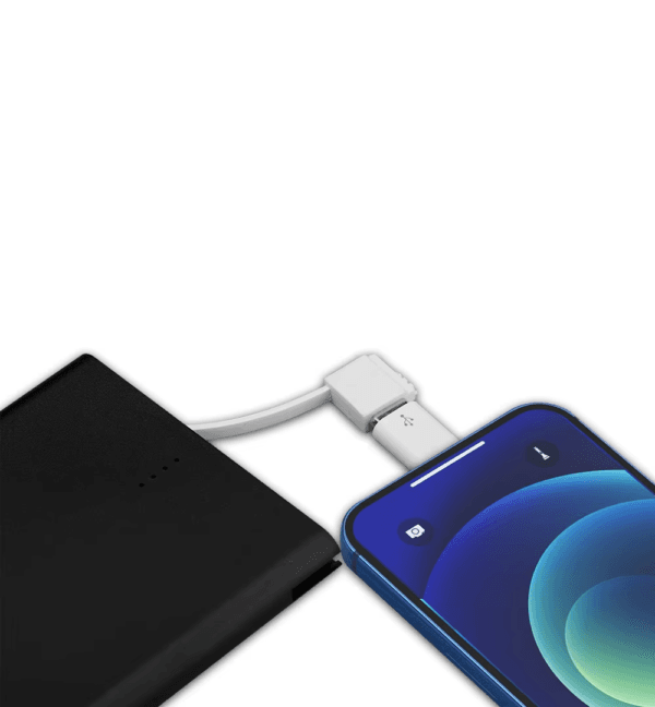 Pocket Battery Charger (5)
