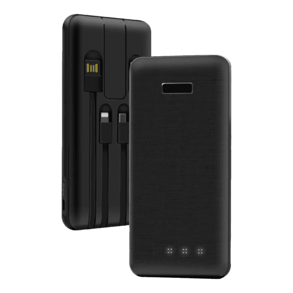 Portable 10000mAh Power Bank (2)