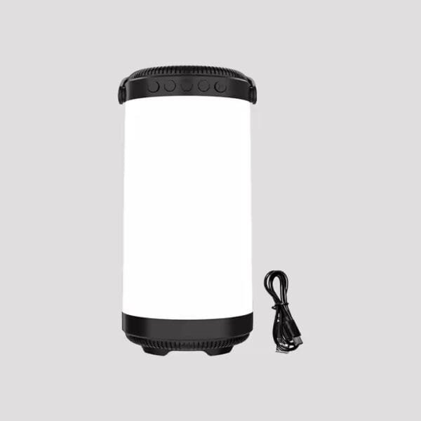 Portable Lamp Speaker (4)