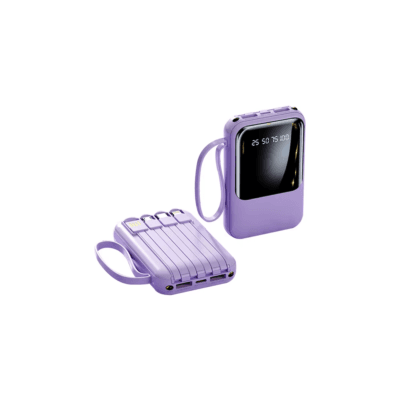Power Bank Type C Battery Pack for IP SAMS (1)