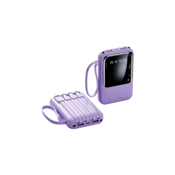 Power Bank Type C Battery Pack for IP SAMS (1)
