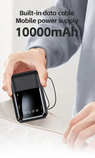 Power Bank Type C Battery Pack for IP SAMS (3)