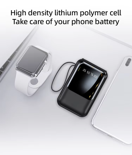 Power Bank Type C Battery Pack for IP SAMS (4)