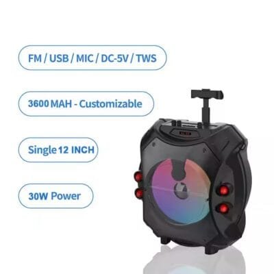 Professional 12 inch (1)