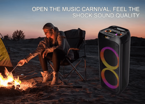 Stereo Speaker 50W (11)