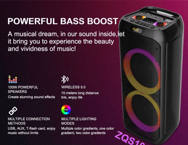 Stereo Speaker 50W (7)