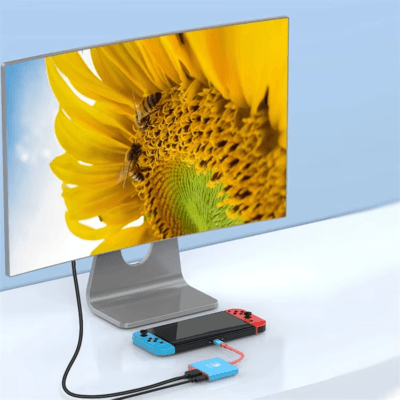 Switch Docking Station TYPE-C Hub (4)