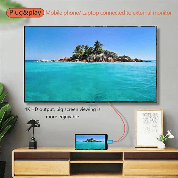 Type C to HDTV (9)