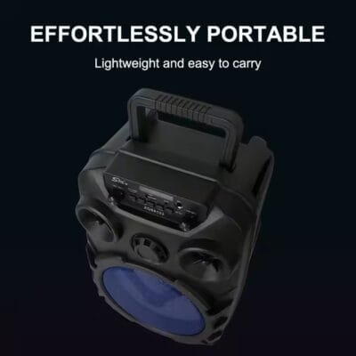 Wireless MIC Radio Use (2)