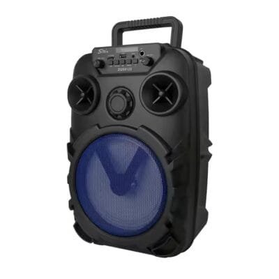 Wireless MIC Radio Use (6)