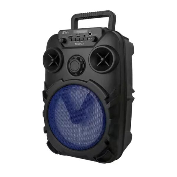 Wireless MIC Radio Use (6)