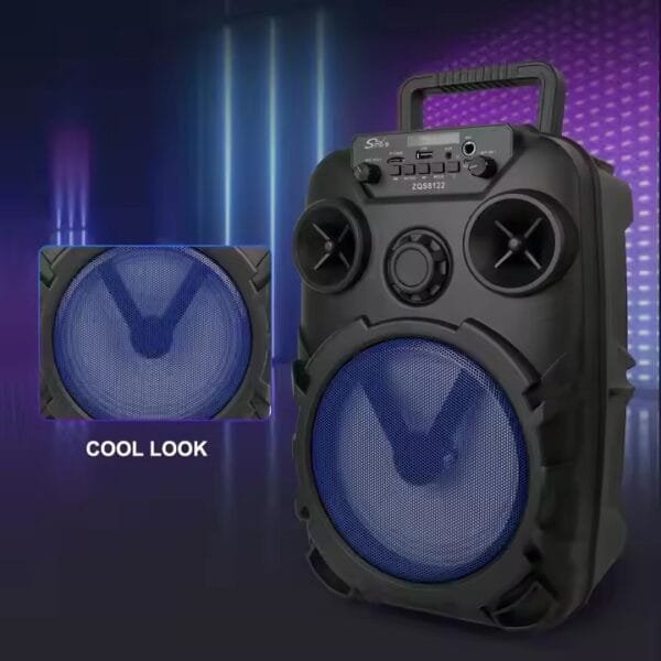 Wireless MIC Radio Use (9)