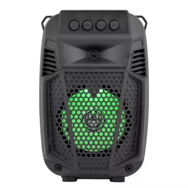 With LED Light USB FM Radio (1)
