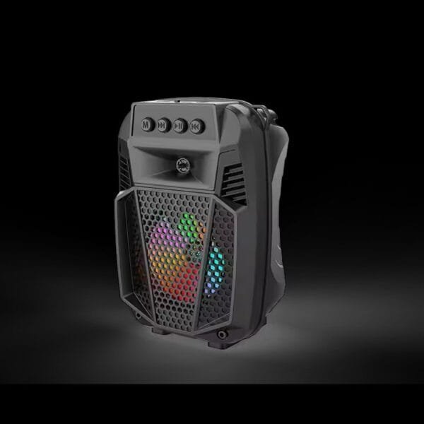 With LED Light USB FM Radio (4)