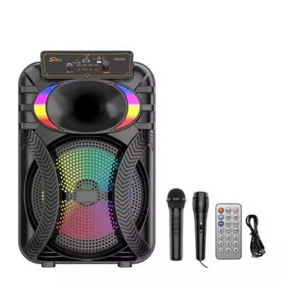 Professional DJ audio system outdoor 10 inches RGB Light push rod speaker wireless microphone with radio
