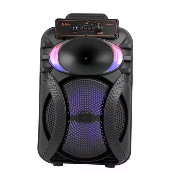 audio system outdoor 10 inches (4)