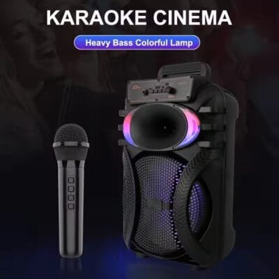 audio system outdoor 10 inches (7)