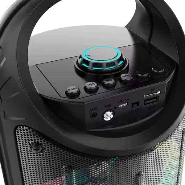 outdoor karaoke speaker with mic (1)