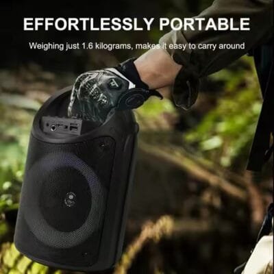 outdoor karaoke speaker with mic (11)
