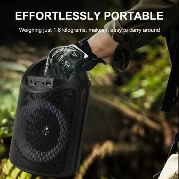 outdoor karaoke speaker with mic (11)