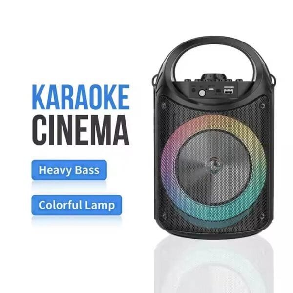 outdoor karaoke speaker with mic (6)