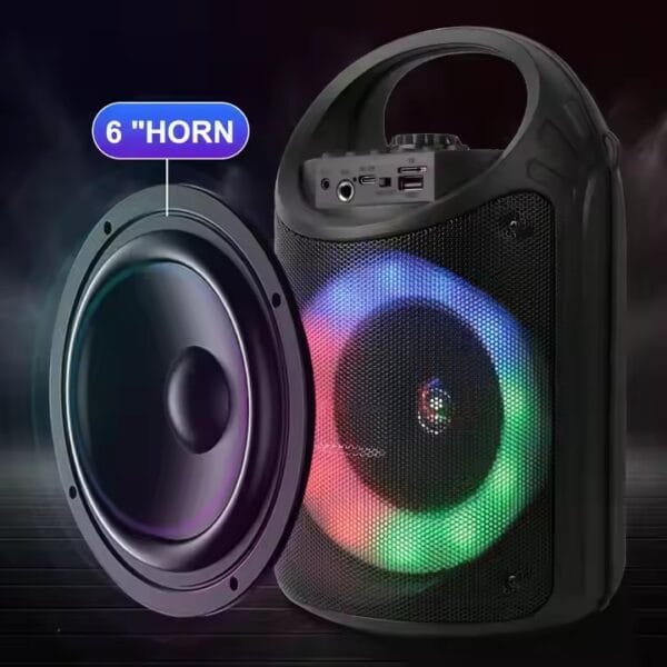 outdoor karaoke speaker with mic (7)