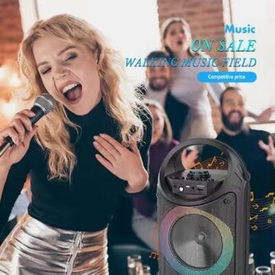 outdoor karaoke speaker with mic (9)