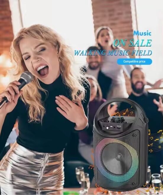 outdoor karaoke speaker with mic (9)