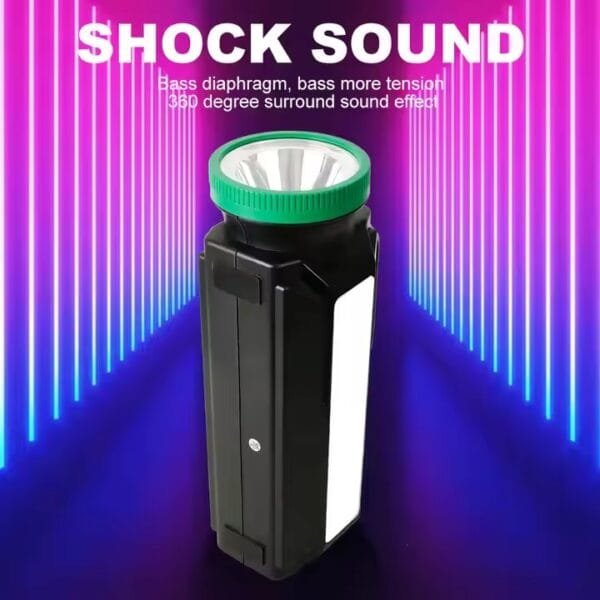 rechargeable party speakers (1)