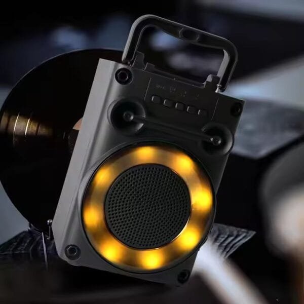 speaker portable box (3)