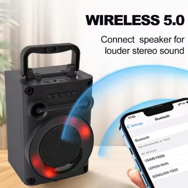 speaker portable box (6)