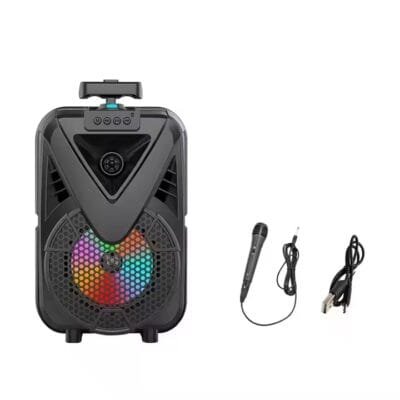 theatre Speaker (2)
