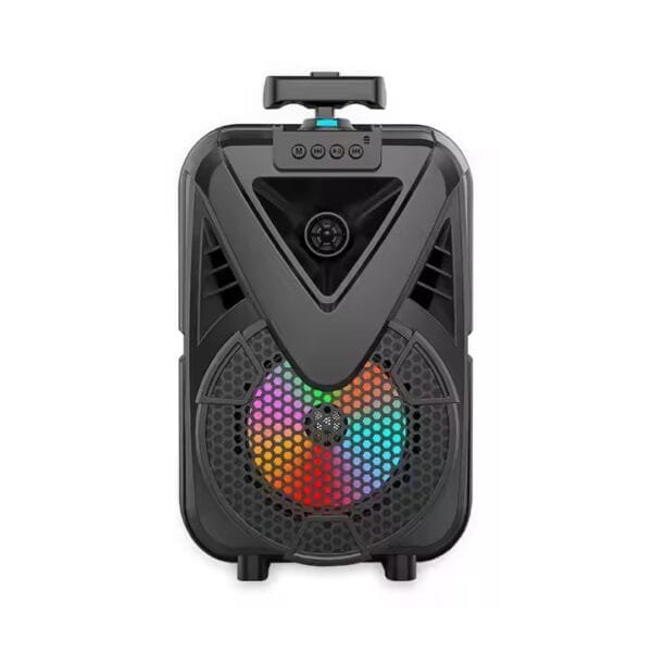 theatre Speaker (4)