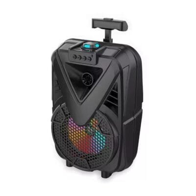 theatre Speaker (5)